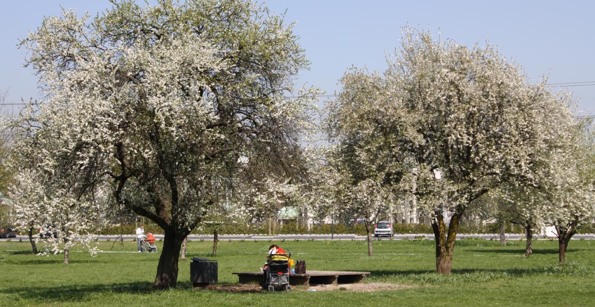 Smartinski park, foto: Luka Vidic, vir LUZ