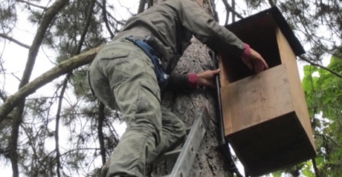 Dežela ptic Tičistan je delček narave v ljubljanskem parku Tivoli, med Tivolskim in Cekinovim gradom. Tam gnezdijo številne ptice, opazimo pa lahko tudi veverice.