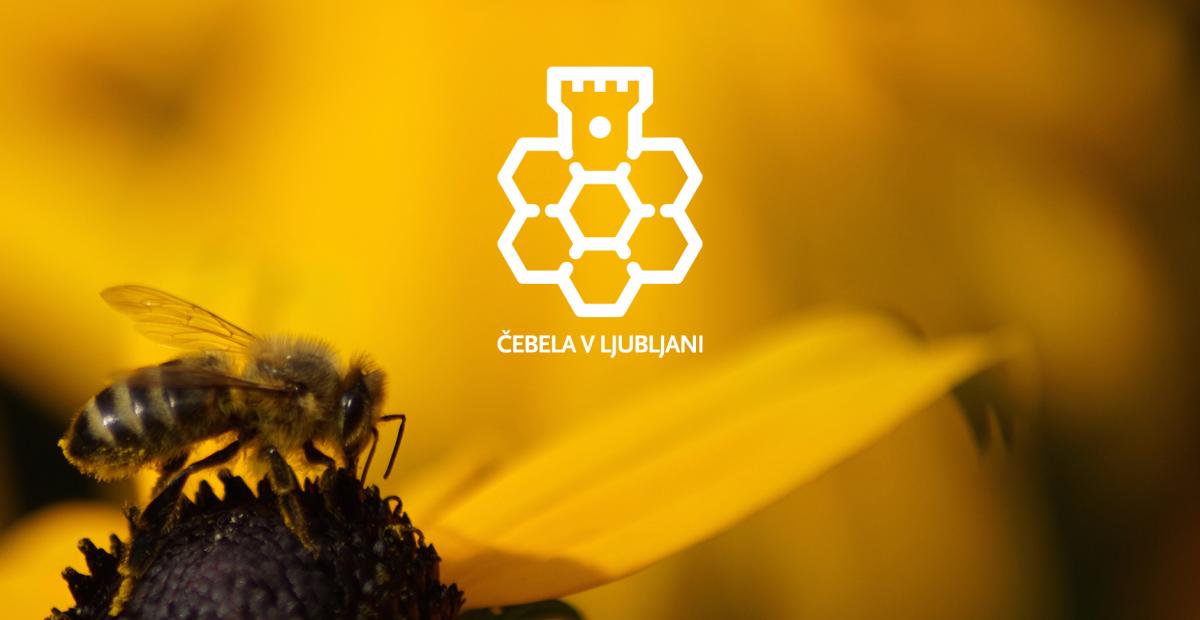 Cebela Banner