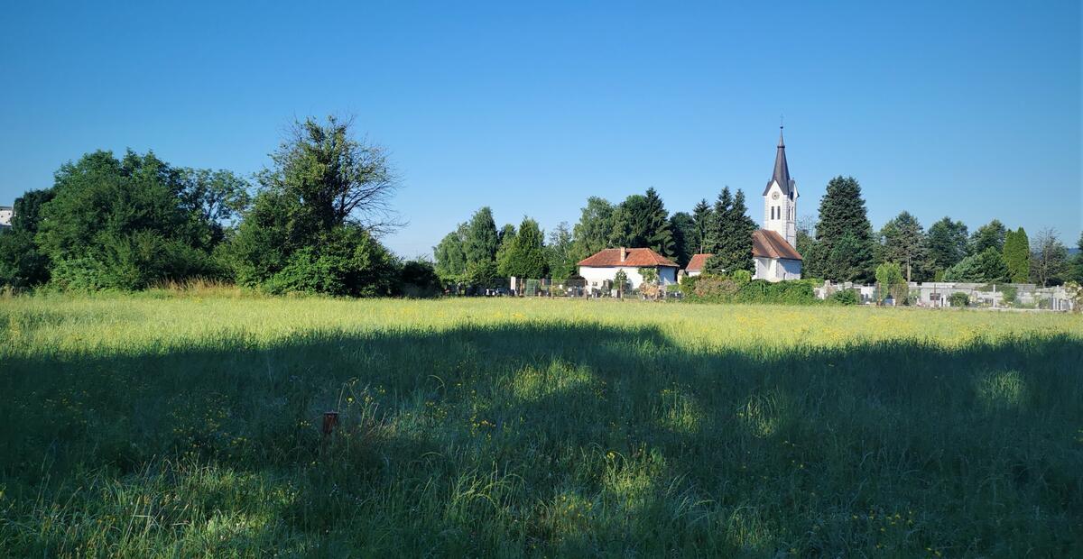 travnik, kjer bomo širili pokopališče