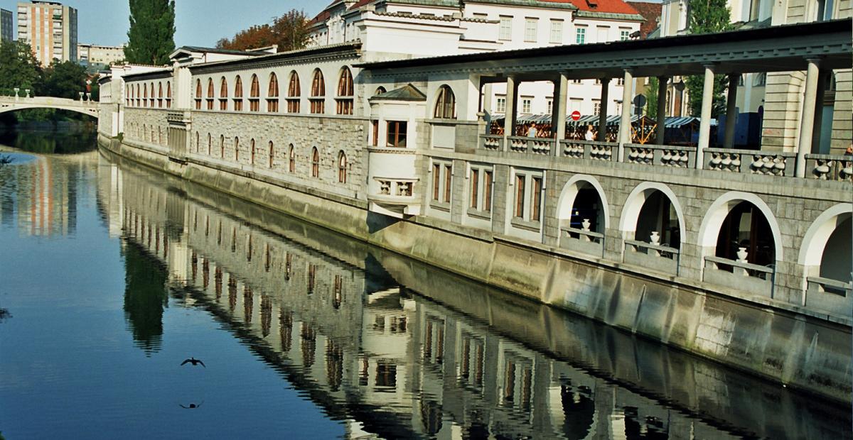 Pogled na Plečnikovo tržnico s Tromostovja, foto: D.Wedam