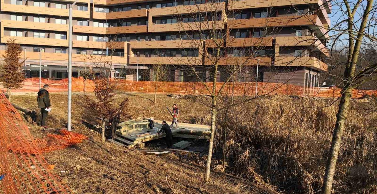 Obnova Črnuškega bajerja je v teku, januar 2020, foto: arhiv MOL