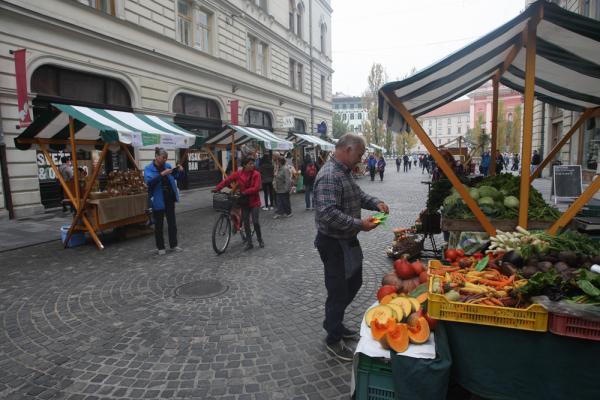 lokalna pridelava hrane