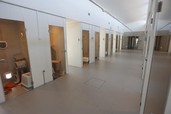 Notranjost Zavetišča za mačke. Foto: N. Rovan 