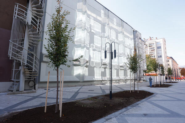 20221027 zasaditev dreves na cufarjevi ulici nrovan 029
