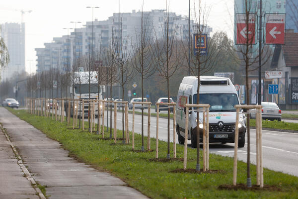 20221128 zasaditev drevesa v drevoredu velo city nrovan 003