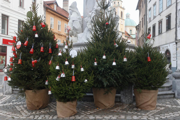 Arbres de Noël.  Photo : N.Rovan