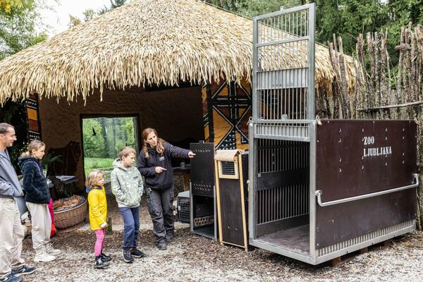 Delo oskrbnikov v ZOO Ljubljana. Foto: ZOO Ljubljana