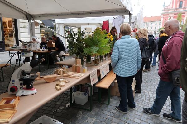 Vabljeni na festival uporabe invazivnih tujerodnih rastlin. Foto: arhiv MOL