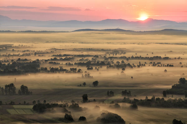 Meglice Ljubljanskega barja. Foto: Rok Godec, KP Ljubljansko barje