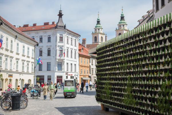 Zelena stena na Tocki.Zate. Foto Doris Kordic 7