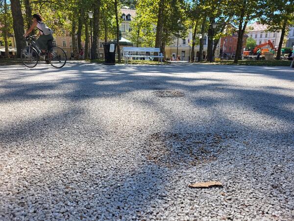 Poškodovane površine v parku Zvezda. Foto: Vita Kontić Bezjak