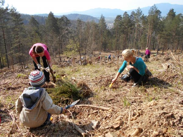 DSCN1805 Golovec planting trees Vita Kontic