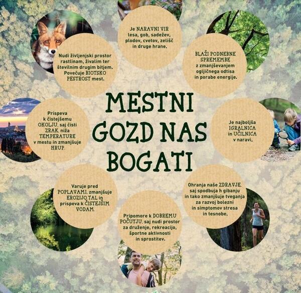 mestni gozd