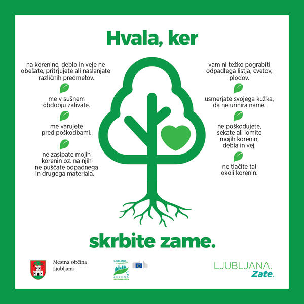 infografika drevo, hvala