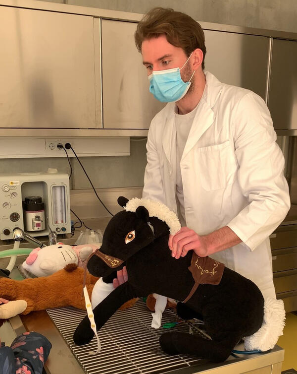 veterinar