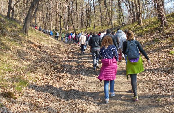 Sprehod po Golovcu. Foto: Vita Kontić