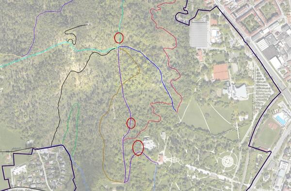 Zemljevid območja urejanja dreves v Tivoliju