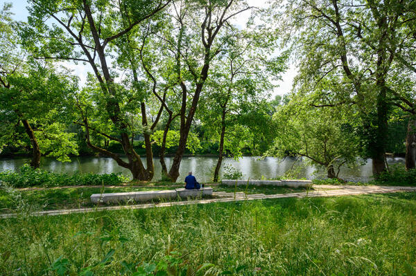 park muste