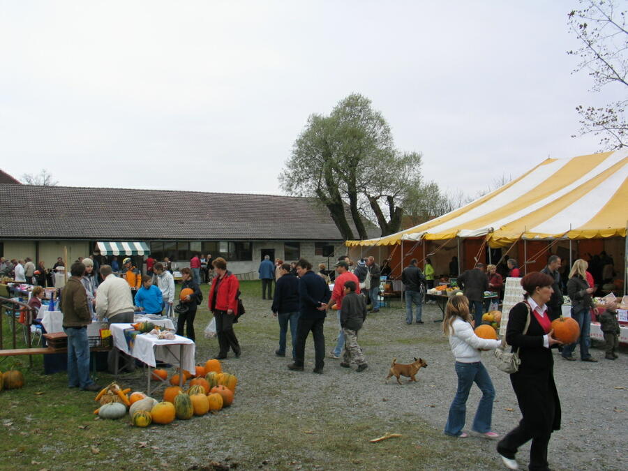 ljudje se sprehajajo po tržnici