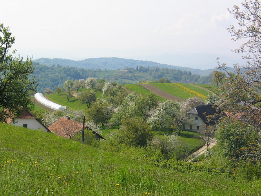 ljubljansko hribovje z kmetijo v ozadju