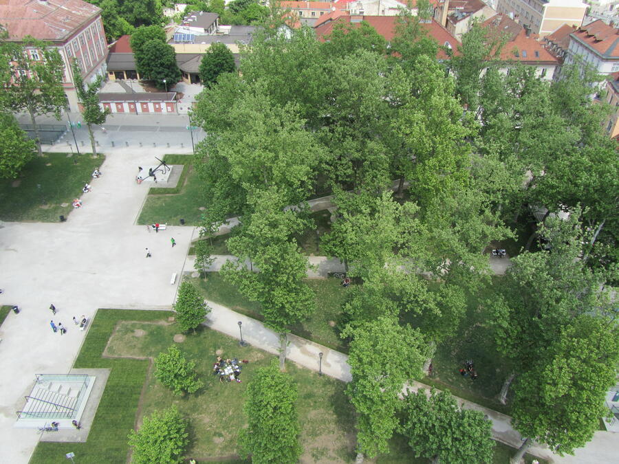 Foto: Vita Kontić Bezjak