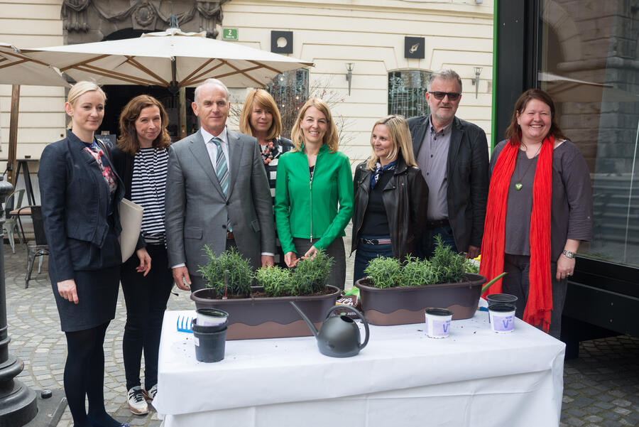 Zasaditev medovitih trajnic pred Mestno hišo_dkordic