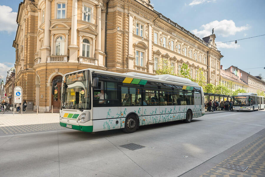 bus on slovenska street