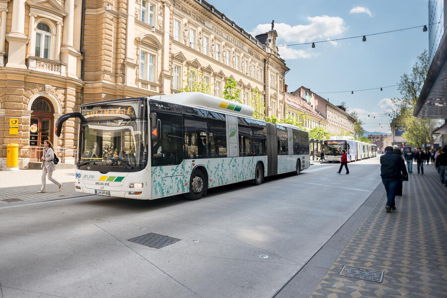 Avtobusi LPP. Foto: Doris Kordić