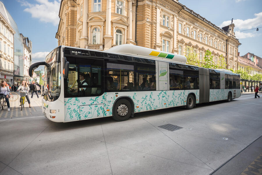 162504 Avtobus Doris Kordic