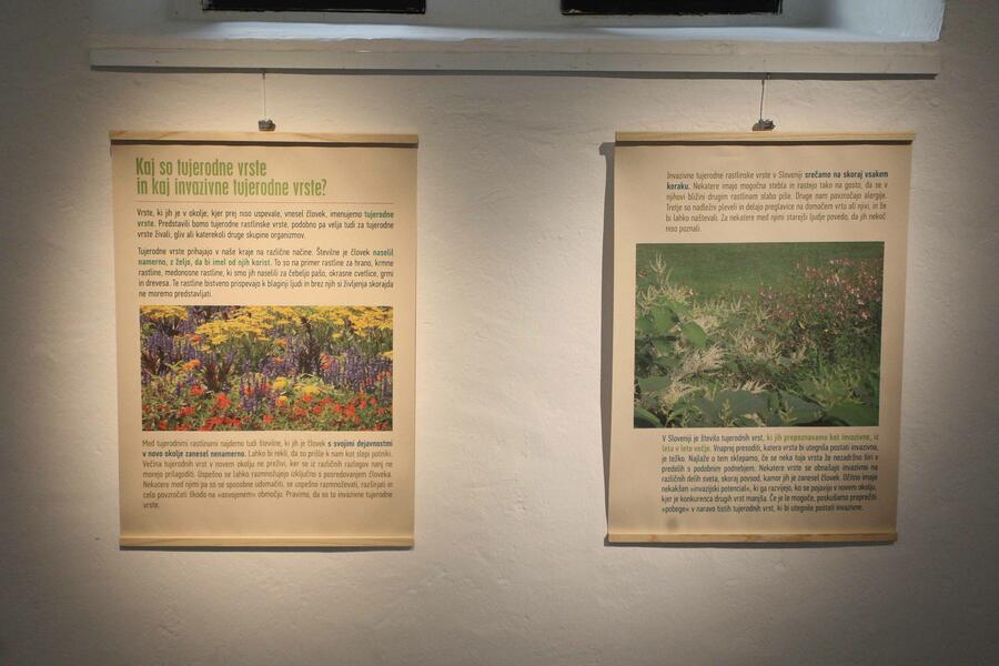 Opening of the exhibition: Unused Potentials of Invasive Alien Plant Species