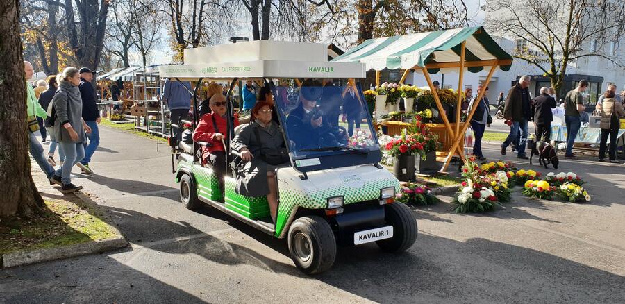 Brezplačne vožnje po pokopališču Žale. Foto: arhiv LPP