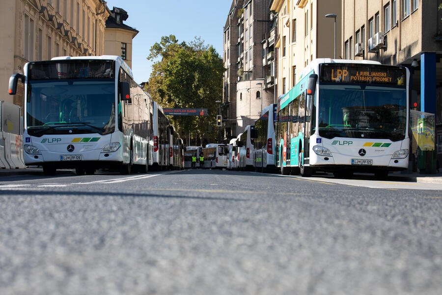 Avtobusi. Foto: B. Pogačar, vir LPP