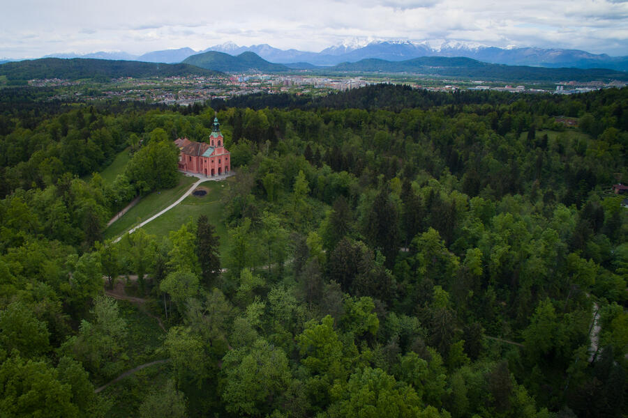 Krajinski park Tivoli, Rožnik in Šišenski hrib. Foto: STA vir MOL