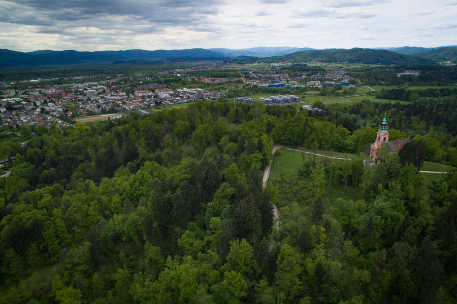 Rožnik