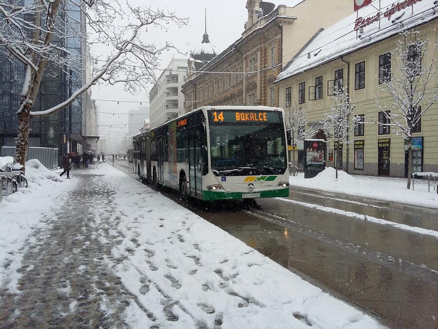 avtobus na zasneženi Slovenski cesti