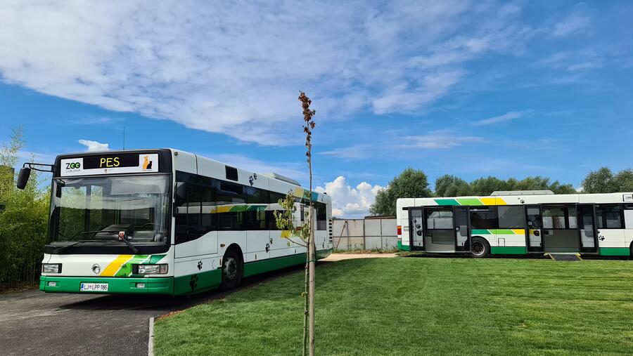 avtobusa pred Zavetiščem za zapuščene živali 