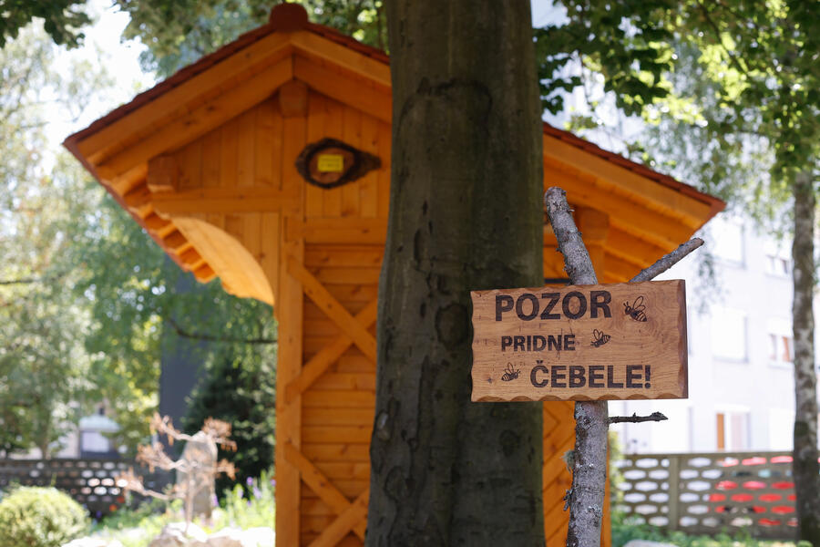 čebelnjak pri Gasilski brigadi Ljubljana 