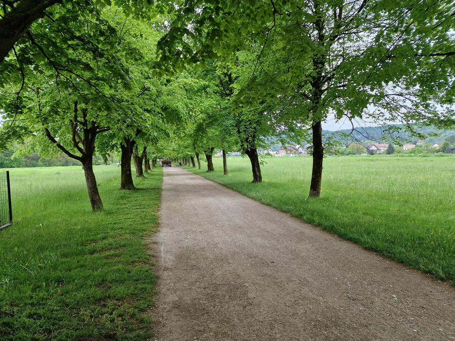 pot spominov in tovarištva