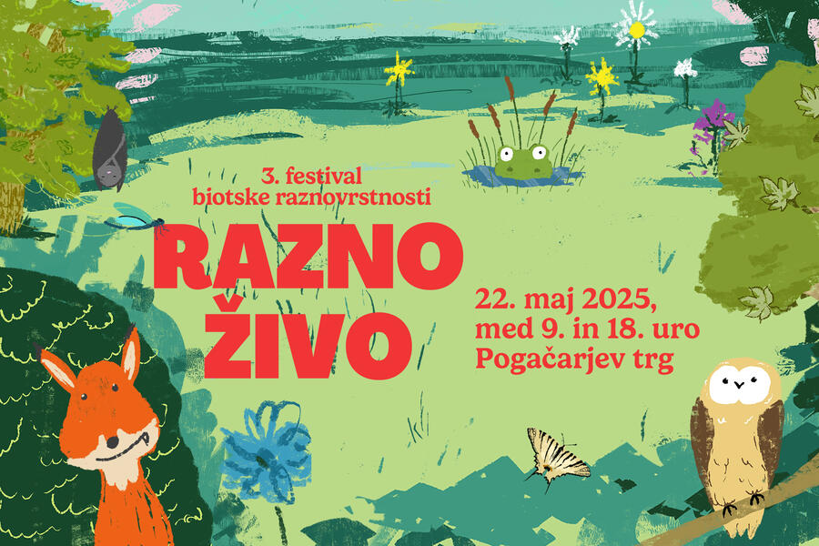2025 FestivalRaznozivo webbanner v2