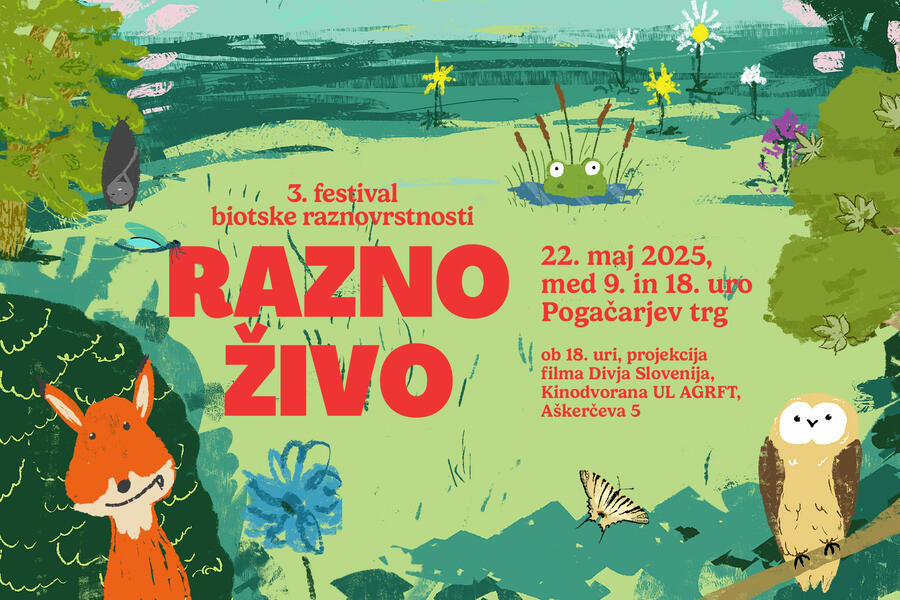 vabilo na festival