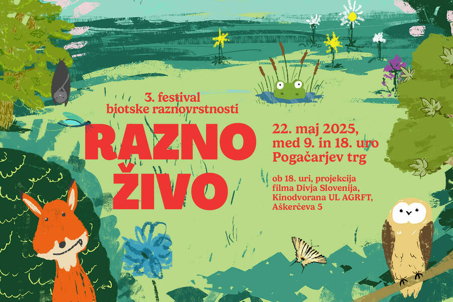 2025 FestivalRaznozivo webbanner2