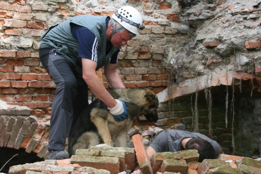 Vaja resevalnih psov 2025. Foto: arhiv MOL
