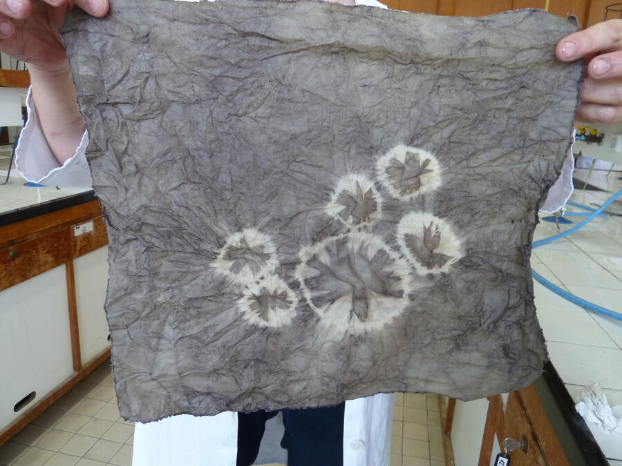 Ne-maki Shibori vzorec na bombažni tkanini, pobarvani z ekstraktom korenike japonskega dresnika Foto: Klara Kostajnšek)