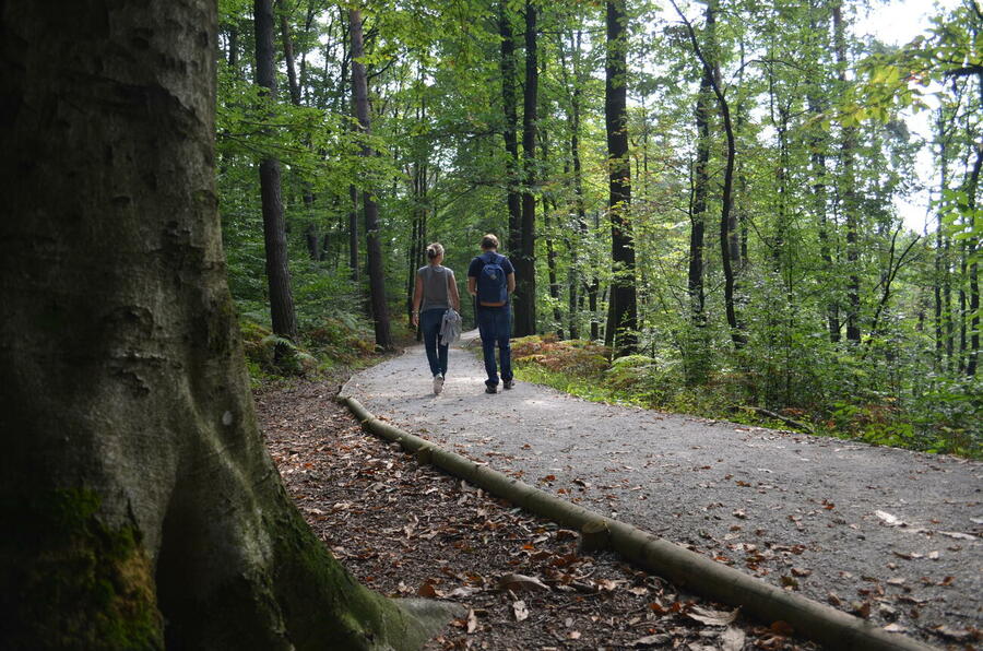 Sprehod po Golovcu, foto: Vita Kontic Bezjak