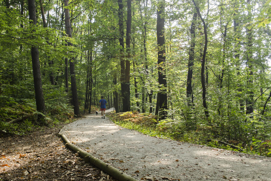 DSC 0052 Golovec je priljubljena lokacija za sprehode, tek, kolesarjenje in sproščanje. Foto: Vita Kontić