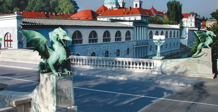 Dragon Bridge with Cathedral in background E5.Kase 