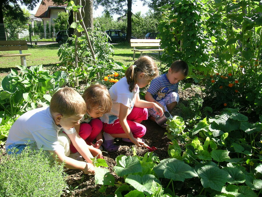 Eco garden 03 photo kindergarten Sentvid