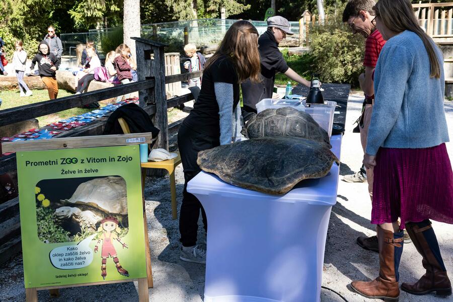 zoo ljubljana