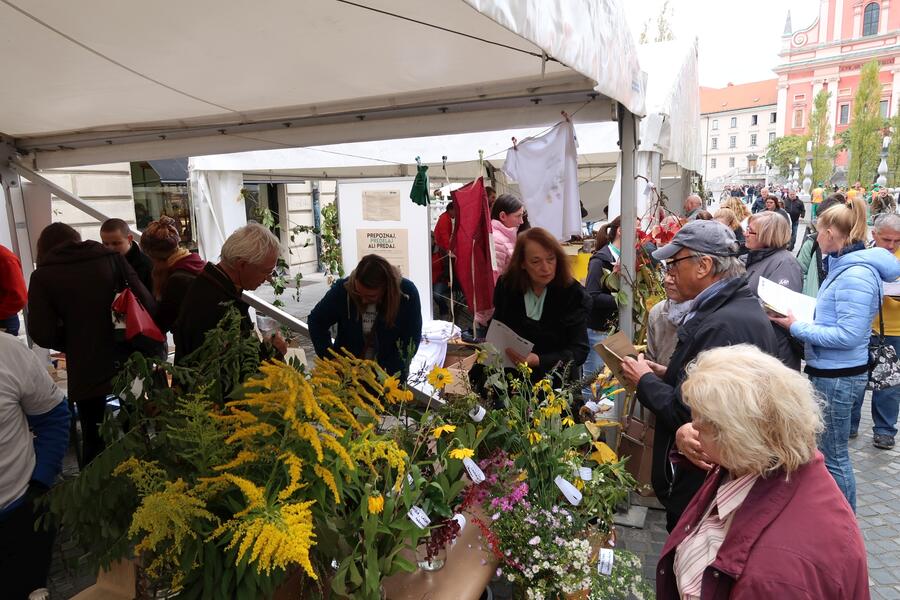 Festival uporabe invazivnih tujerodnih rastlin na Stritarjevi. Foto: arhiv MOL